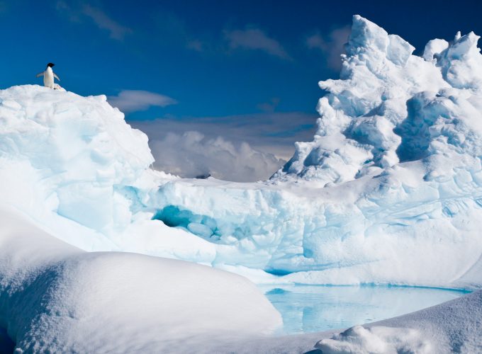 Wallpaper Antarctica, penguin, iceberg, snow, Animals 8487110125